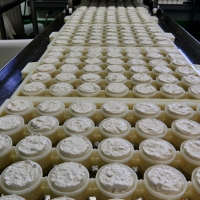 Fromagerie Ségalafrom (3)