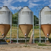 GAEC des Blancs de Quercy - 1