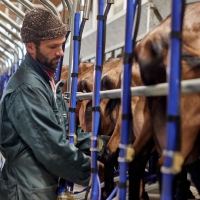 EARL de Rougeaires - 3