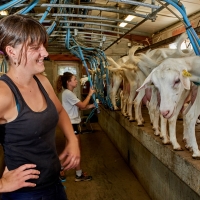 GAEC Honnoré-Quenton - 1