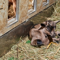 GAEC des Collines - 2