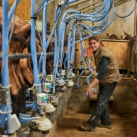 La Chèvre d'Autan - 3