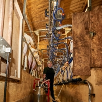 EARL de la Calmette - 5