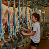 GAEC Honnoré-Quenton - 2