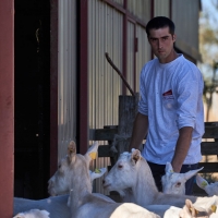 GAEC Camp de la Barraque - 3