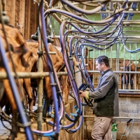 La Ferme de Valeyres - 3