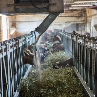 EARL Les Biquets de Conté Haut - 3