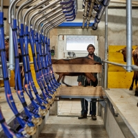 EARL de Rougeaires - 4