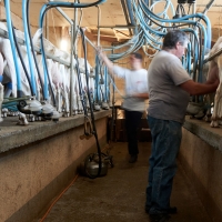 GAEC Camp de la Barraque - 6