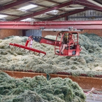 EARL Les Biquets de Conté Haut - 5