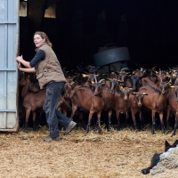 La Chèvre d'Autan - 6