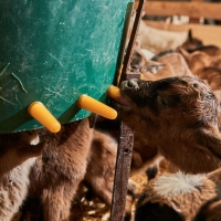 GAEC des Collines - 5