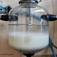 GAEC Camp de la Barraque - 7