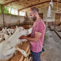 GAEC Honnoré-Quenton - 5