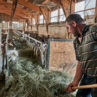 GAEC des Collines - 7