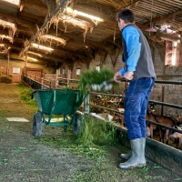 GAEC de l'Amalthée - 6