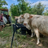 GAEC des Blancs de Quercy - 8