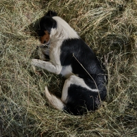 GAEC des Collines - 9