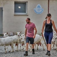 GAEC Honnoré-Quenton - 6