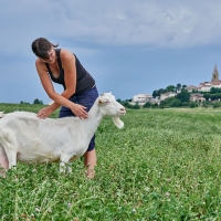 GAEC Honnoré-Quenton - 9