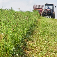 GAEC de l'Amalthée - 9