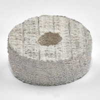 Petite Rouelle Cendrée Bio  - 3