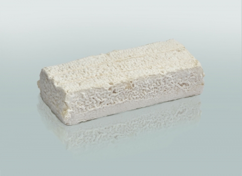 La Brique Albigeoise