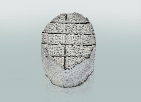 Le XV du Pic Cendré