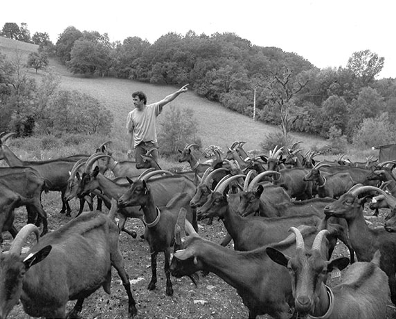 Nos producteurs - Fromagerie Le Pic