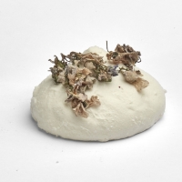 La Meringue - Violette