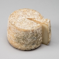 La Tomette du Pic - Coupe