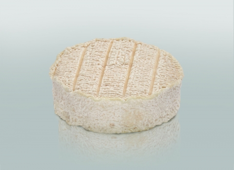 Le Rond'Oc Blanc