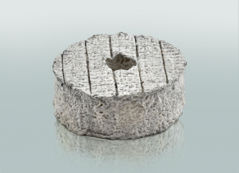 Rouelle Cendrée